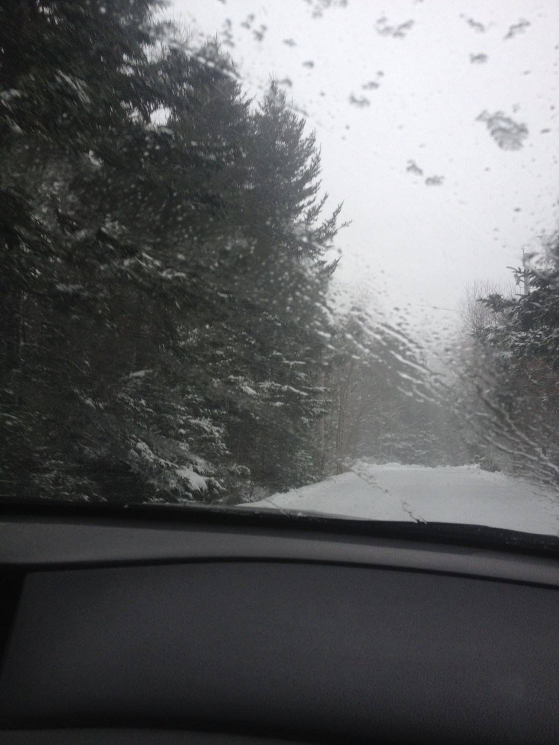 a weirdly calm moment during the storm